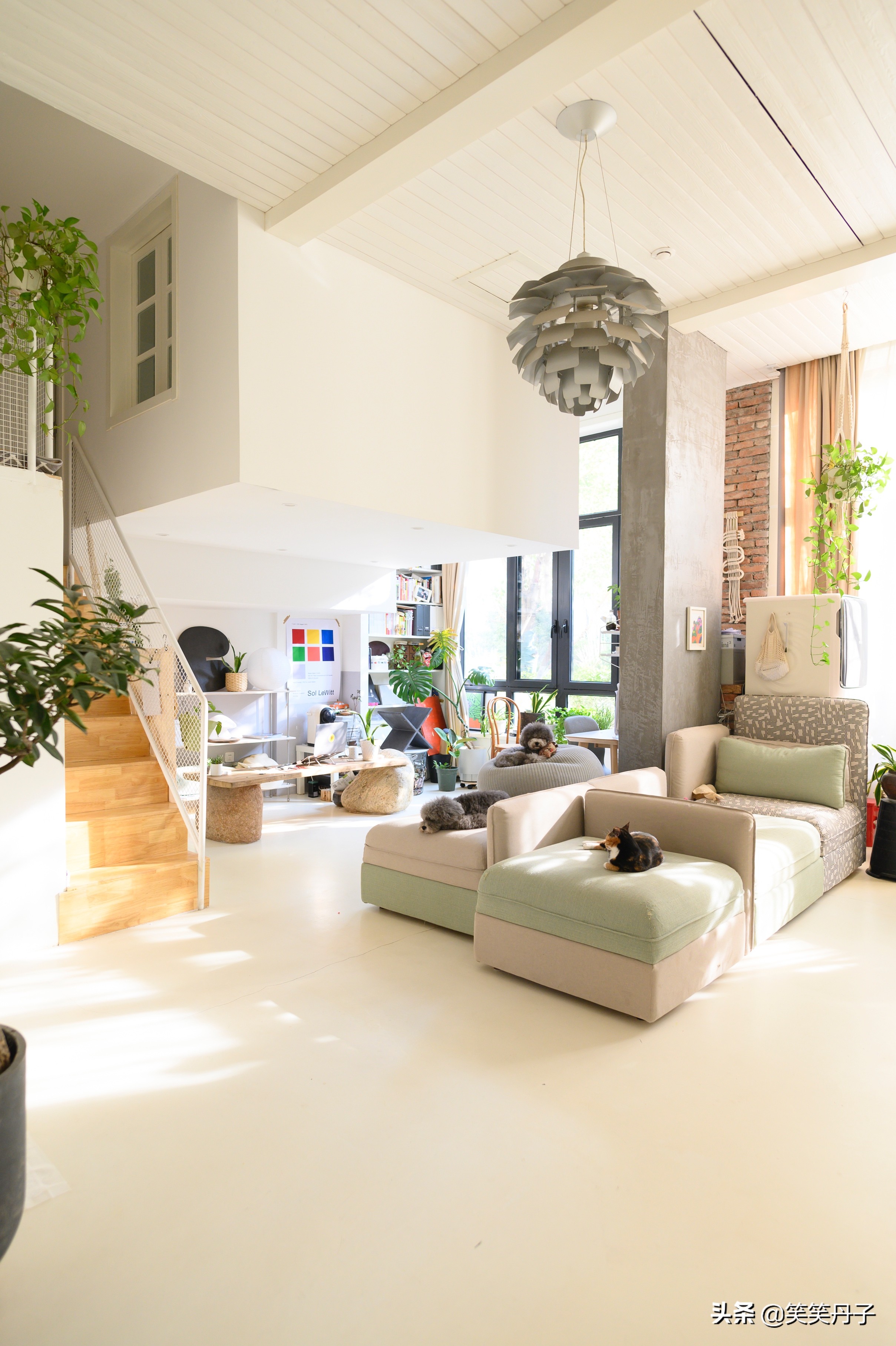 led射灯效果,客厅灯射灯2023最新款大气上档次