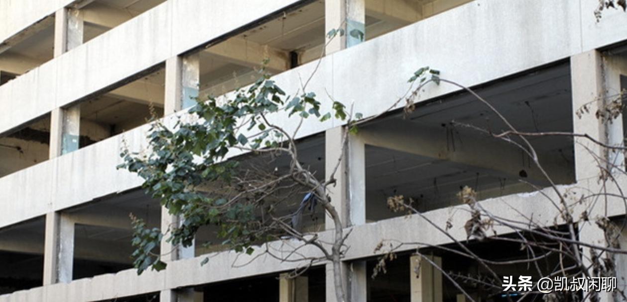 石家庄环宇牌黑白电视机,石家庄环宇电视机有哪些