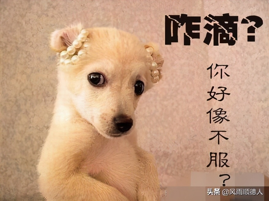 鲍威尔股市会涨吗,鲍威尔讲话怎么美股涨了