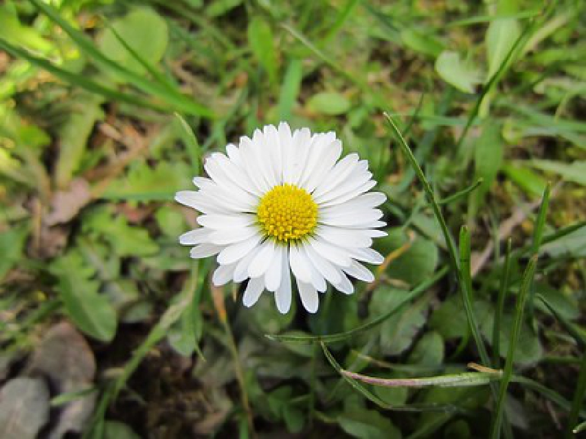 精辟人生感悟经典句子,经典语录精辟的短句人生感悟