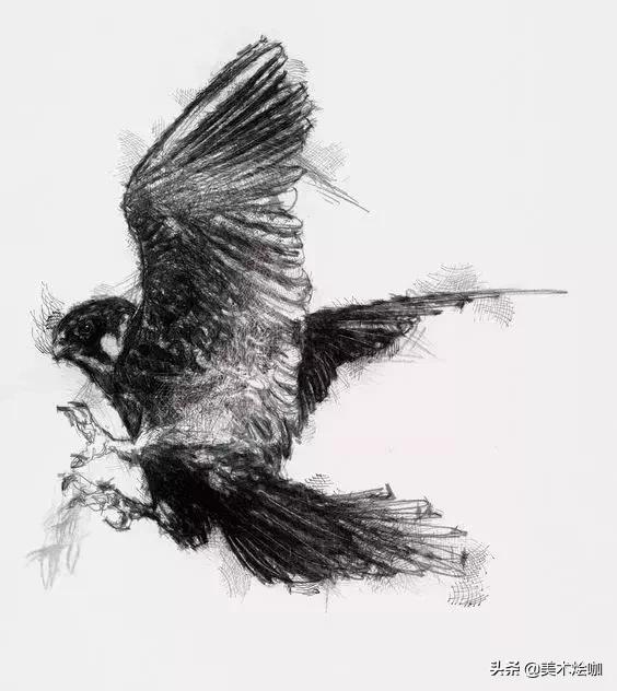 6-12岁儿童素描课程画动物,素描动物教程简单8-12岁