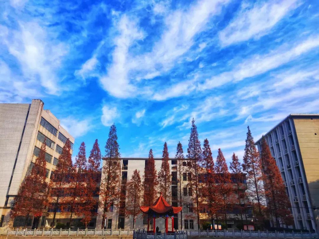 湖北即将新建的大学,湖北将整体搬迁的大学