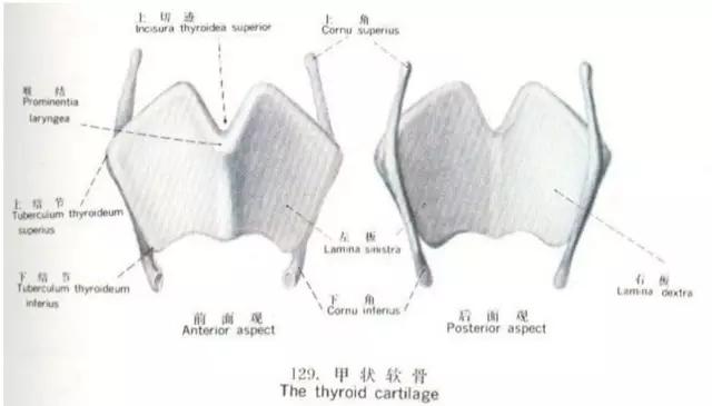 喉部病变做核磁还是ct,耳鼻喉科常见病影像诊断