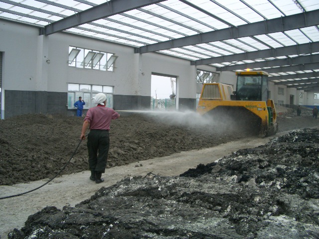 乳酸菌养殖应用,乳酸菌在水产养殖中的作用