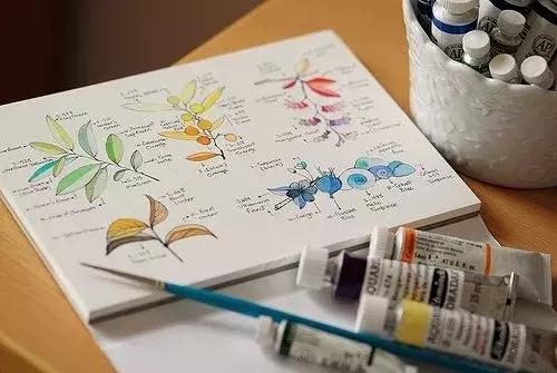 画画的好处和方法,简单的画画有什么好处