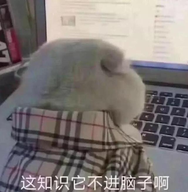 现实版天才枪手！印度小伙花158元改计算器“作弊”，能连谷歌