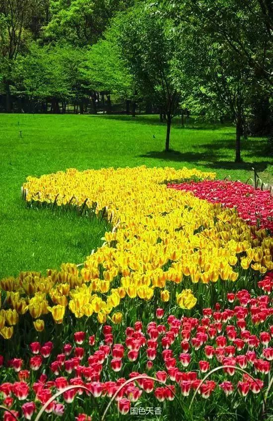 清晨的一缕阳光诗歌,清晨的阳光原唱