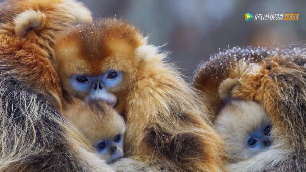 被吹爆的神片,被吹上天的神作