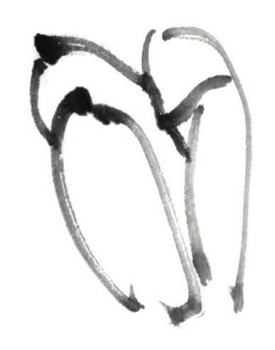 国画刘存惠荷花画法全视频,国画山水画教学视频荷花画法