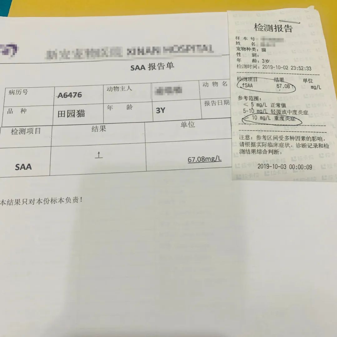 小佩饮水机3代漏电吗,小佩宠物饮水机真的有用吗