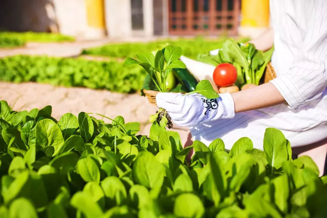 三亚天域酒店亲子攻略,三亚旅游攻略亲子酒店