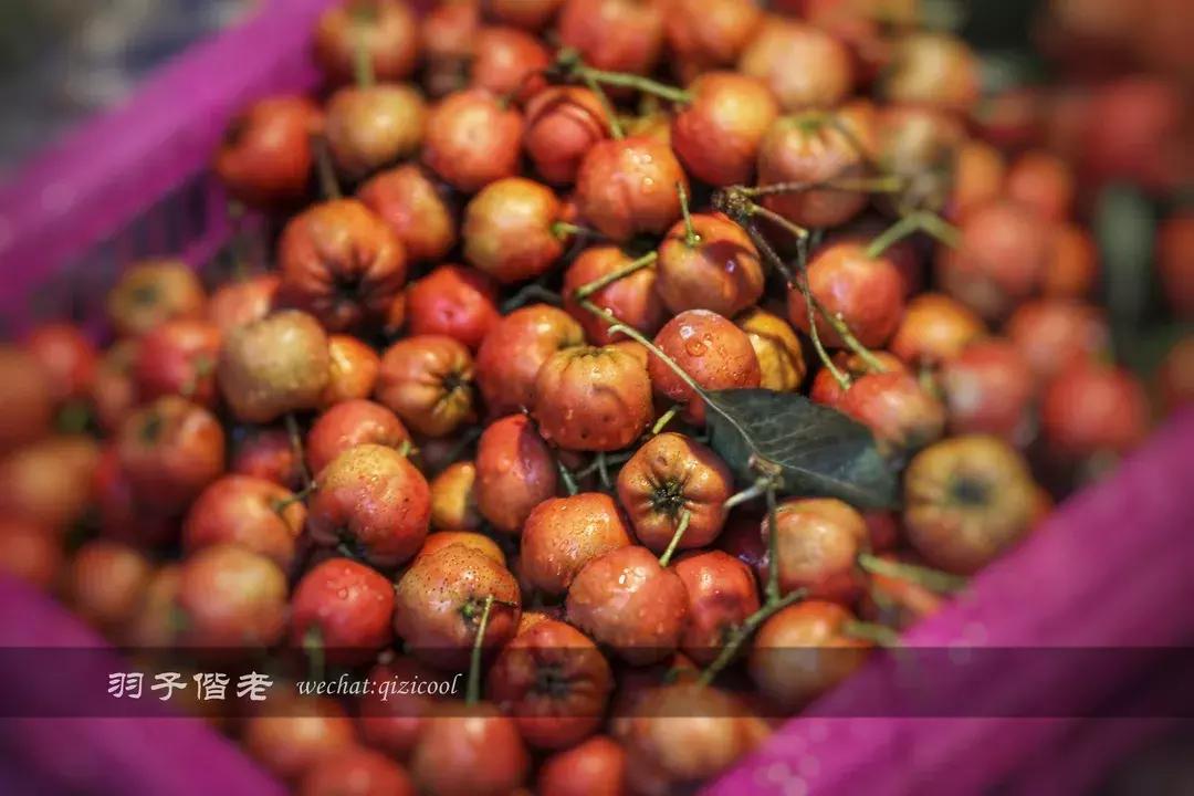 从英迪格出发，跟随“邻”感大使深入厦门玩味毗邻