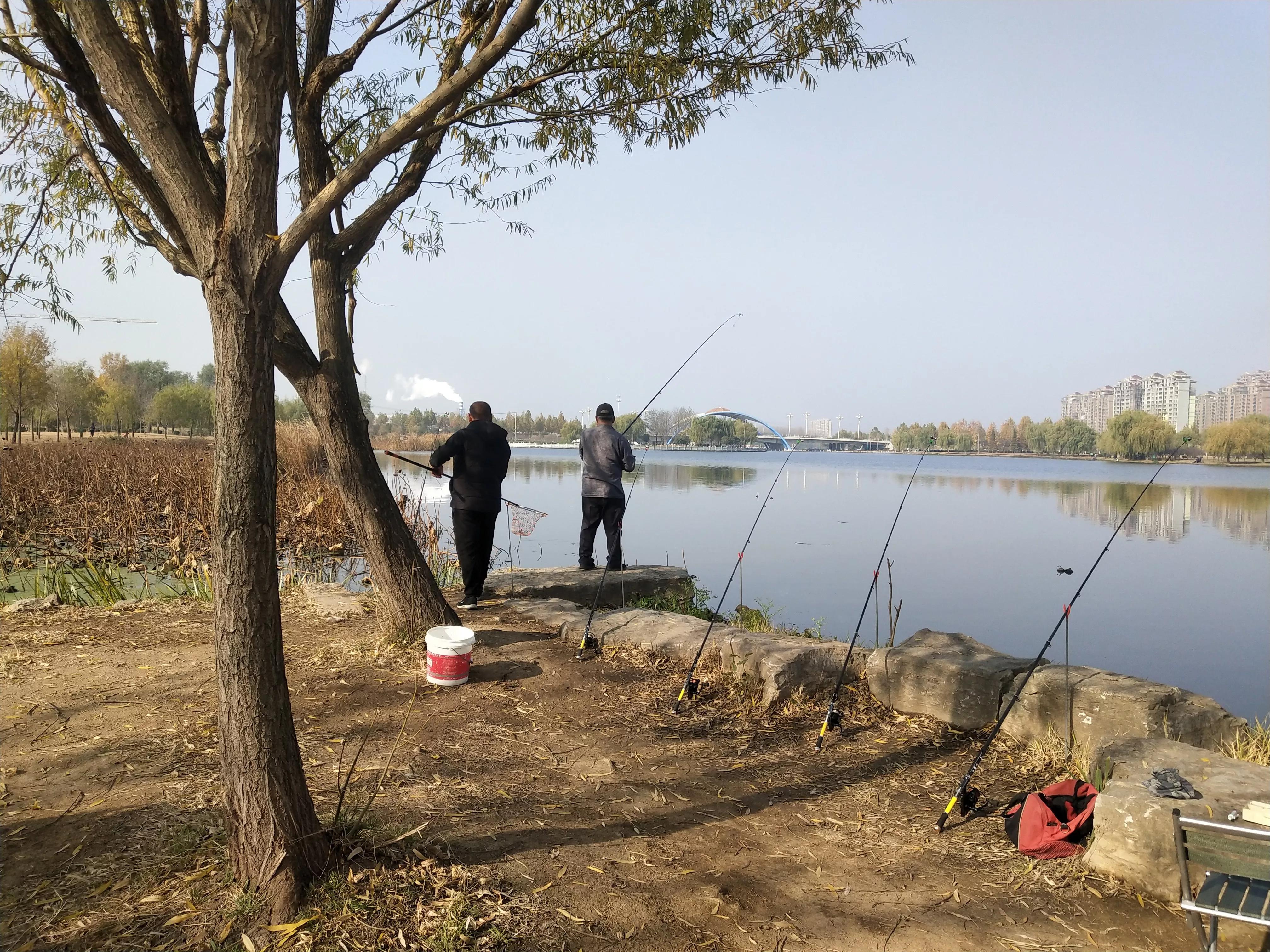 海竿钓法的意义,海竿反底钓法的优点和缺点是什么