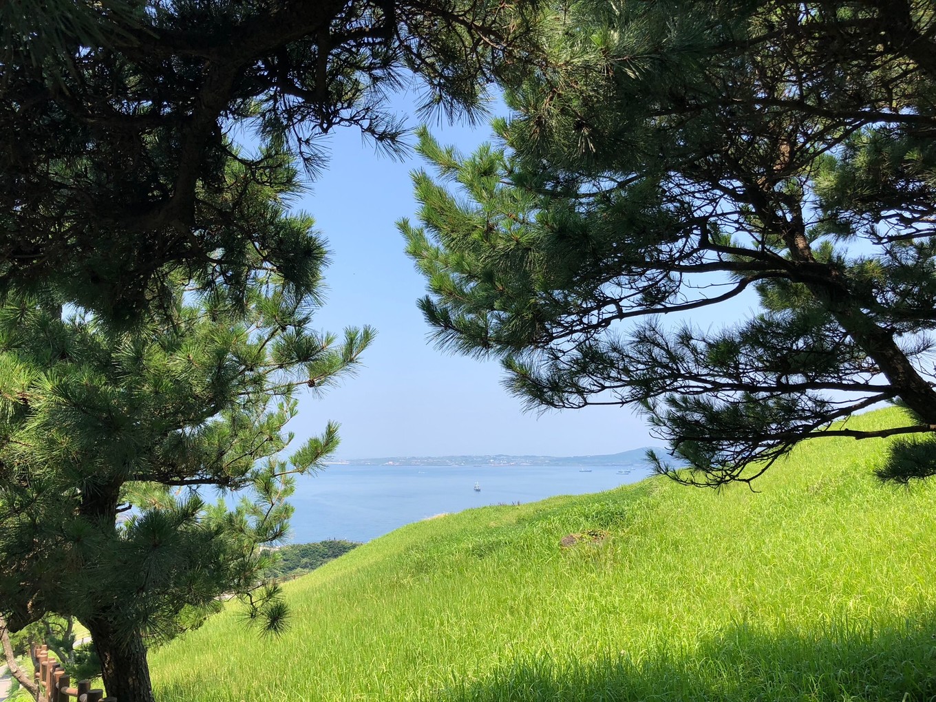 不会韩语去济州岛怎么自由行,济州岛两天旅行攻略