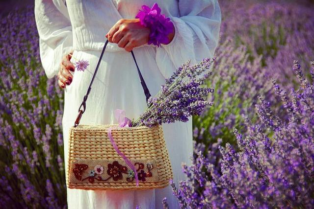 【ROSECASSOU花语笔记】薰衣草