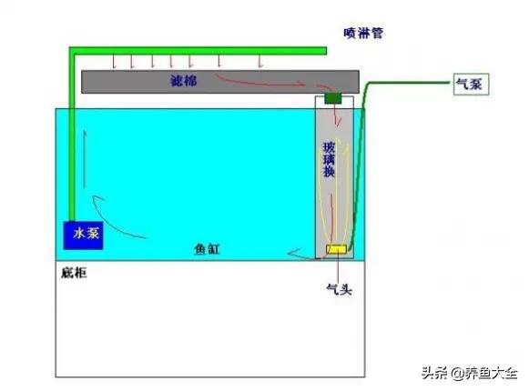 鱼缸各种过滤方式效果排名,细谈各种鱼缸过滤方法