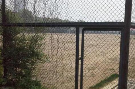 中国足球最新归化政策,中国足球开启大规模归化