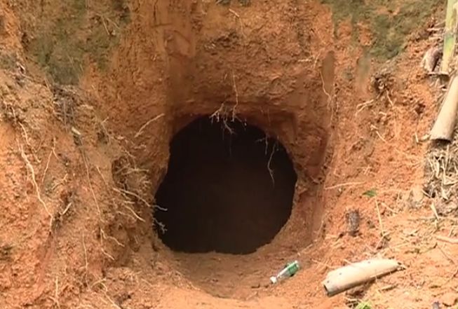 广东超大巨蟒,大山之间惊现神秘巨蟒