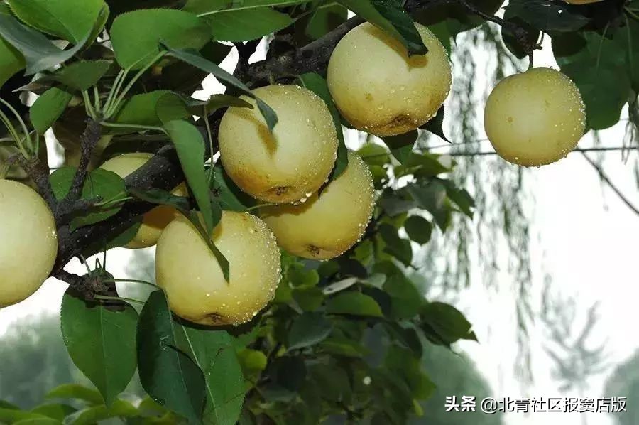 搜一搜就知道了,搜一搜商家会怎么样