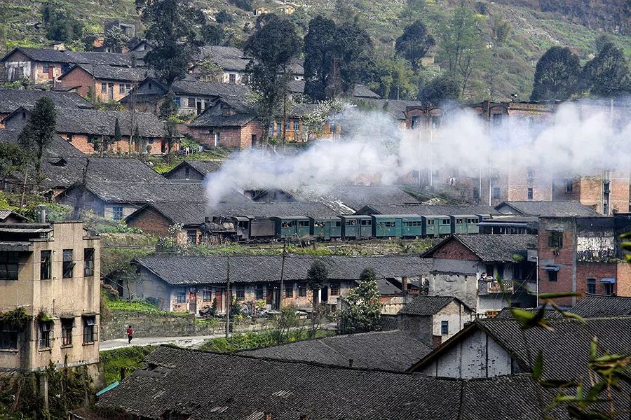 太美了开往春天的列车,这些开往春天的列车简直美呆了
