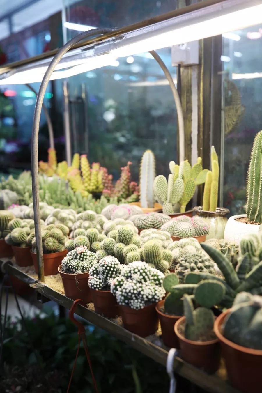 <html>
<head><title>502BadGateway</title></head>
<body>
<center><h1>502BadGateway</h1></center>
<hr><center>nginx</center>
</body>
</html>
<!--apaddingtodisableMSIEandChromefriendlyerrorpage-->
<!--apaddingtodisableMSIEandChromefriendlyerrorpage-->
<!--apaddingtodisableMSIEandChromefriendlyerrorpage-->
<!--apaddingtodisableMSIEandChromefriendlyerrorpage-->
<!--apaddingtodisableMSIEandChromefriendlyerrorpage-->
<!--apaddingtodisableMSIEandChromefriendlyerrorpage-->
