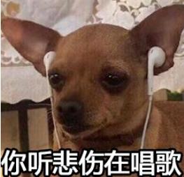 鏈変簡婊ら暅鍐嶅ぇ鐨勭溂琚嬮兘涓嶆槸浜嬪効,鍏眰婊ら暅