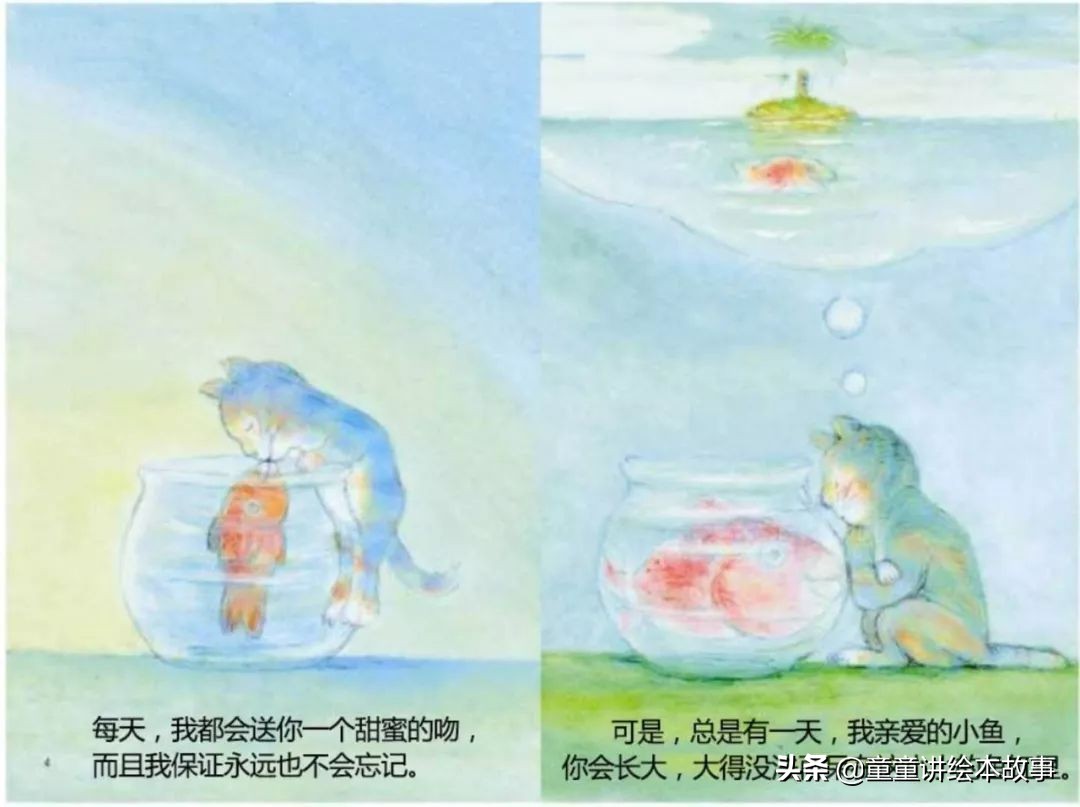 有声绘本免费听书亲爱的小鱼,亲爱的小鱼绘本故事视频完整版