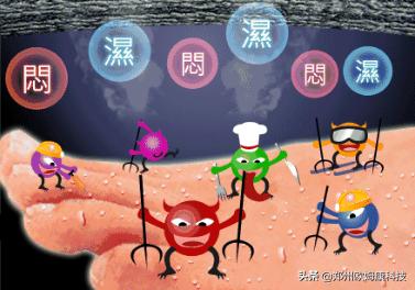 什么鞋垫防脚臭最好使,哪款鞋垫防脚臭最好