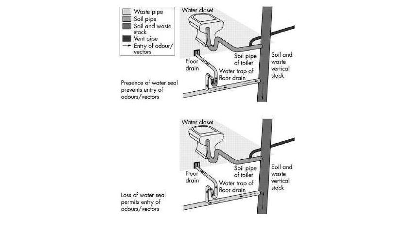 新型冠状病毒经消化道传播吗,新型病毒粪口传播