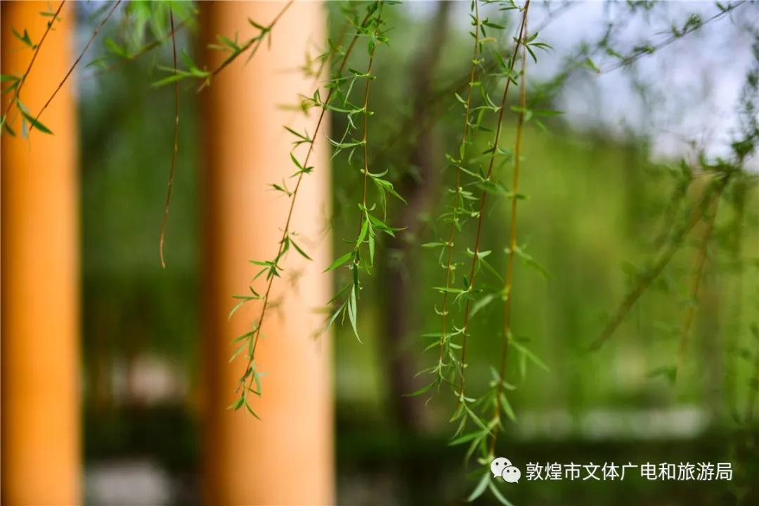 鏁︾厡灞卞簞搴櫌鏅,鏁︾厡灞卞簞搴櫌娣卞害