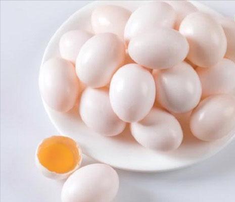 鸽子蛋鹌鹑蛋哪个更营养,鸽子蛋鹌鹑蛋哪个比较营养