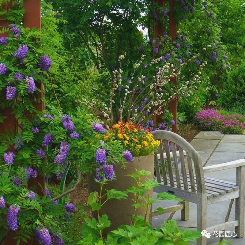 紫藤花开不负春光不负卿什么意思,紫藤花开岁月静好