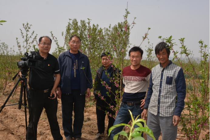 投资果园需要多少钱,投资果园有什么好项目