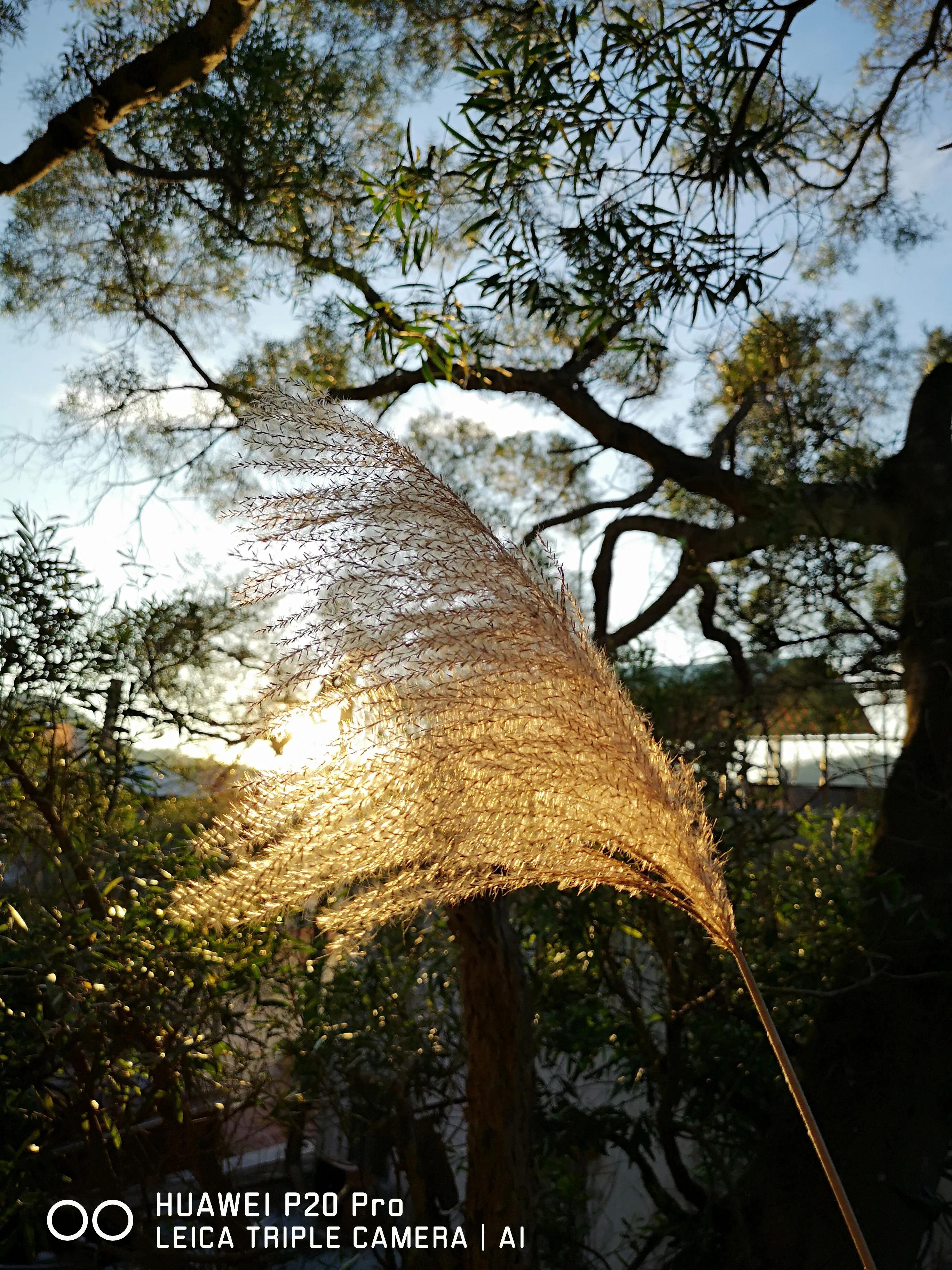 香港南丫岛必去景点推荐理由,香港南丫岛视频