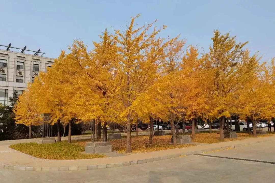 辽宁省普通高等院校,辽宁省沈阳本科大学