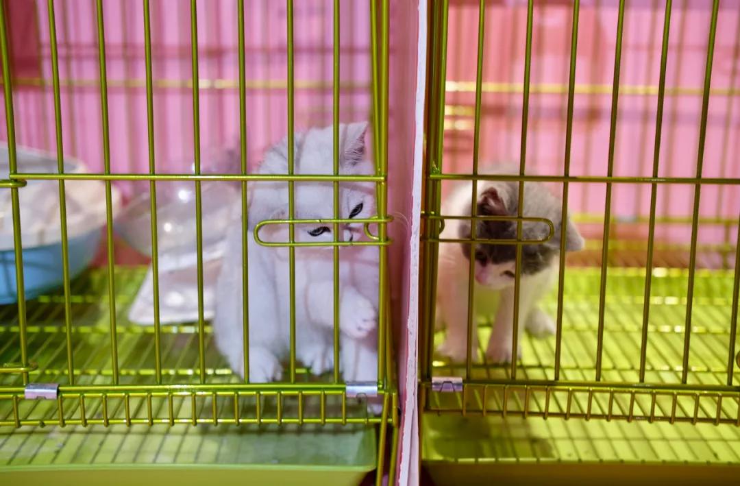 璇ヤ笉璇ュ幓娴峰彛,鏉ュ埌娴峰彛浣犲悗鎮斿悧