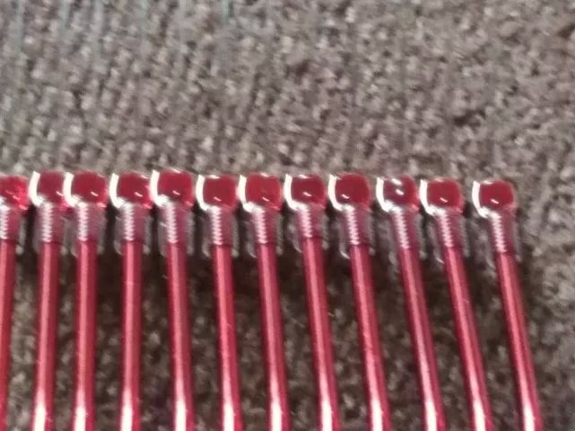 第一年野钓,新年第一钓钓鱼视频