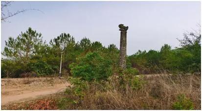 茶马古道全集版,茶马古道下集