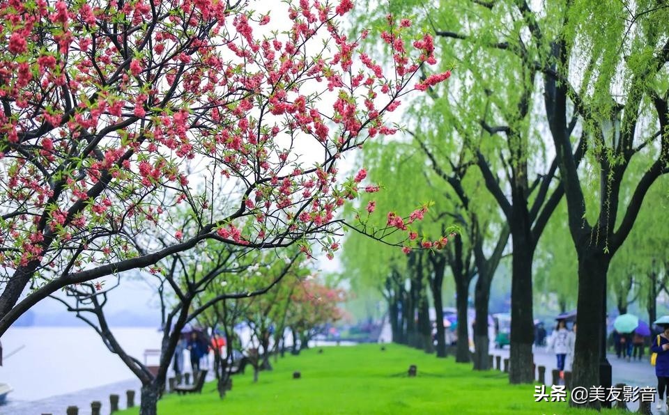 成语的误用类型有哪些,人民日报整理易错的四字成语