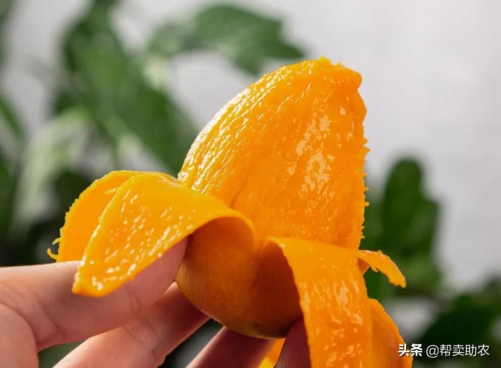 小台芒香甜滑嫩甜而不腻,台芒香甜多汁2.5斤