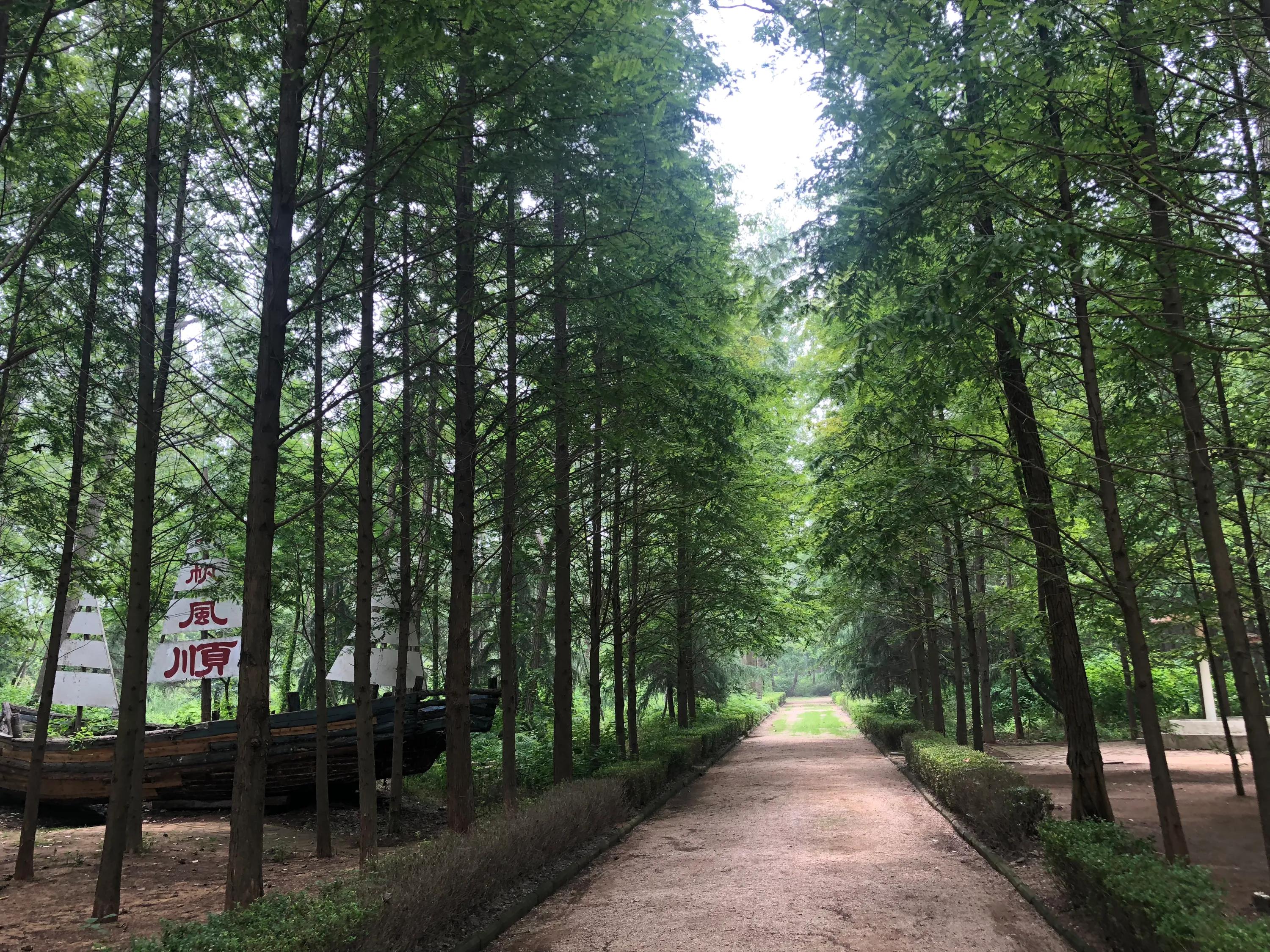 考研必备考点,考研知识点学不明白怎么办