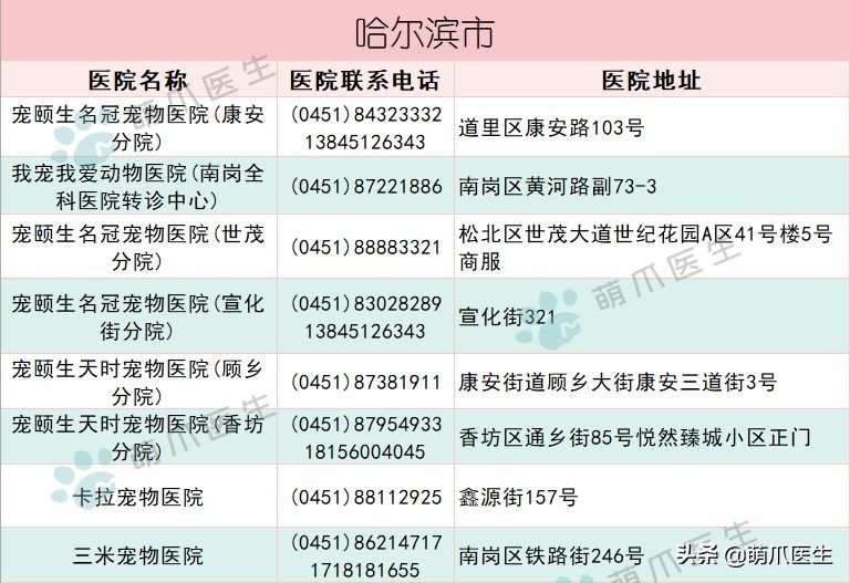 求良心靠谱的宠物医院,真正平民的宠物医院