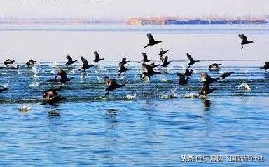 银川出发1-2天旅游,银川出发华东五市游