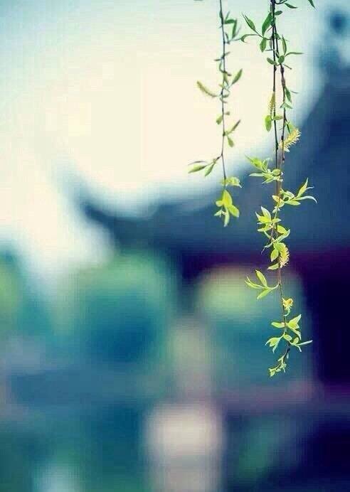 女生突然不回消息怎么高情商回复,女生说忘记回你信息了高情商回复