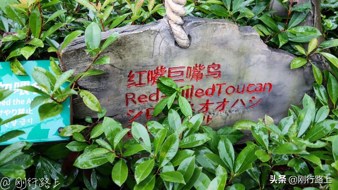 上海野生动物园可以自驾进去吗,从上海野生动物园怎样去上海南站