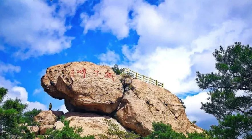 宫崎骏的眼中的世界,青岛宫崎骏的夏天在哪