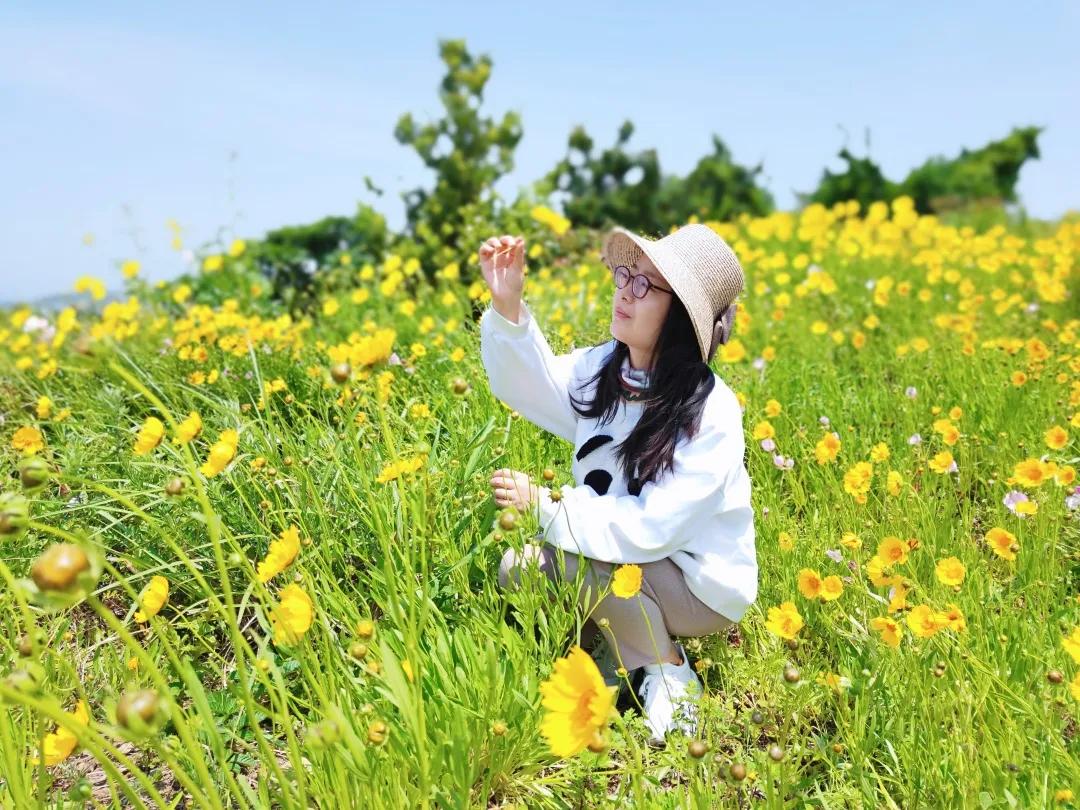 列岛之枸杞岛旅游攻略,嵊山岛枸杞岛旅游攻略