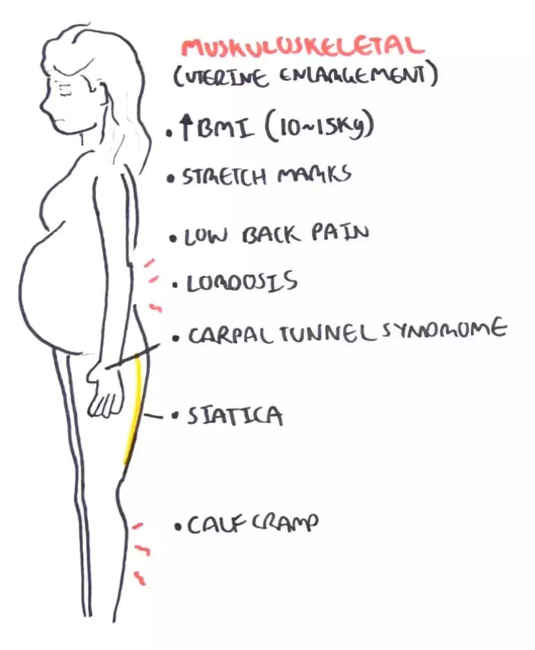 医学知识科普产后康复,开局不可言语最新章节在线阅读