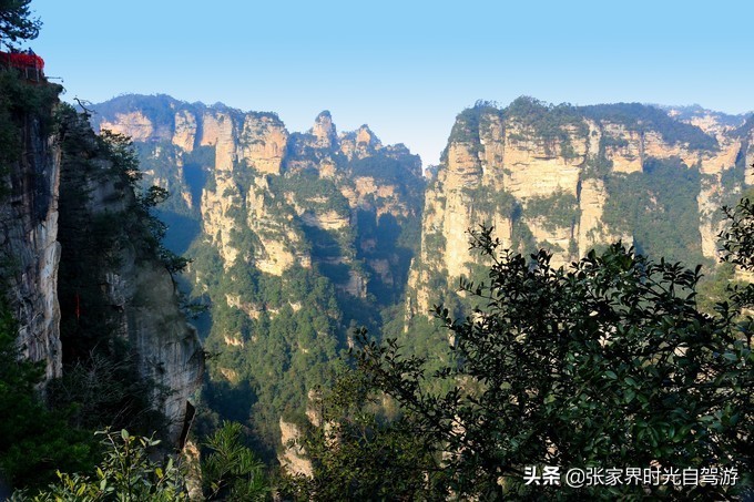 张家界森林公园亲子游攻略,张家界旅游攻略现在张家界气温