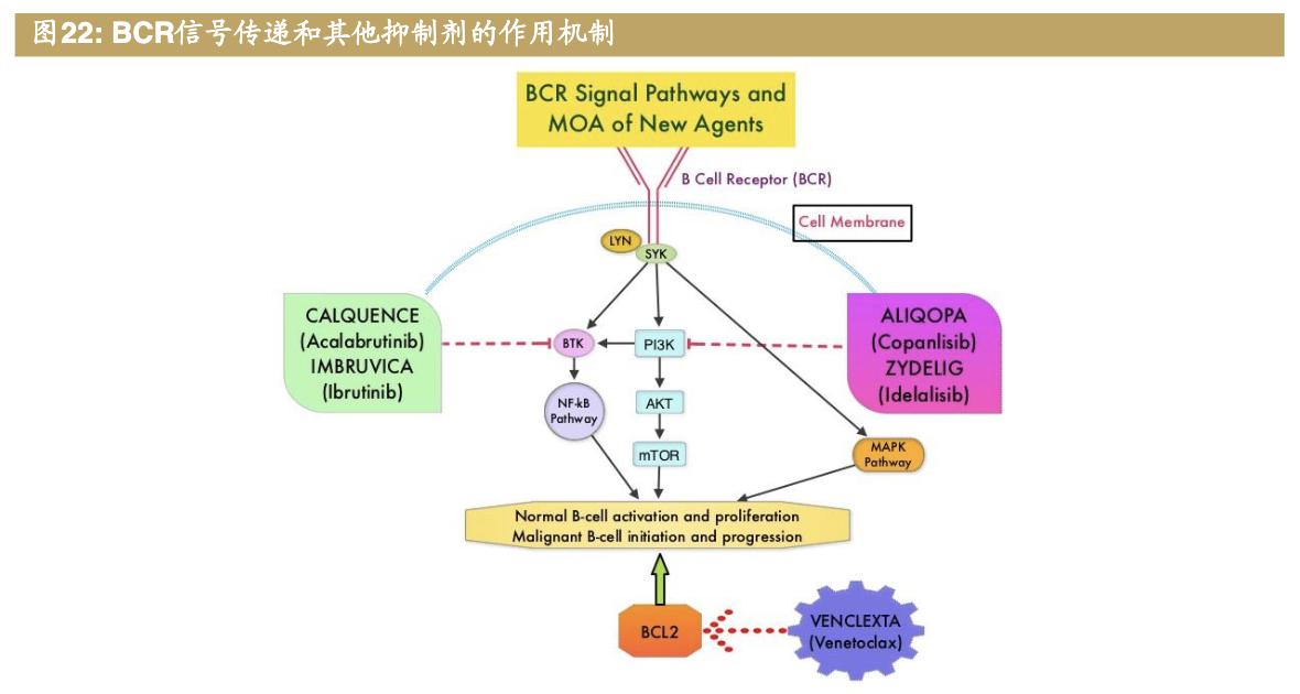 医药公司诺诚健华,诺诚健华创新药基地